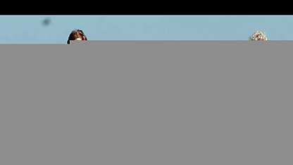 امضا زیبا دختر بچه, اطاعت پانچ فیلم سکسی کوتاه کم حجم